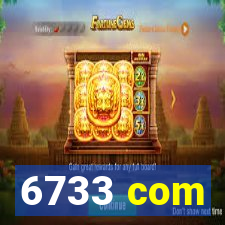 6733 com